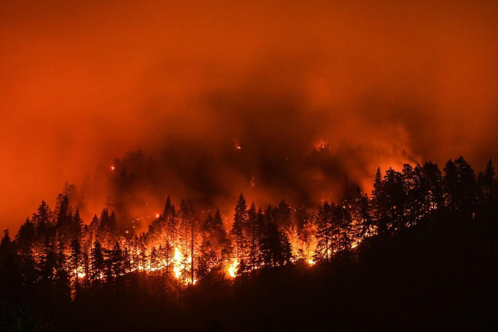 Extreme Wildfires Have Doubled in Frequency and Intensity in the Past 20 Years