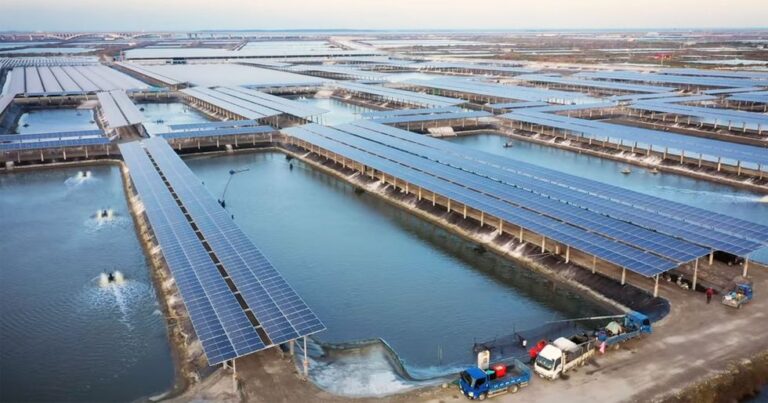 대만,-태양광-발전-어항-재부팅