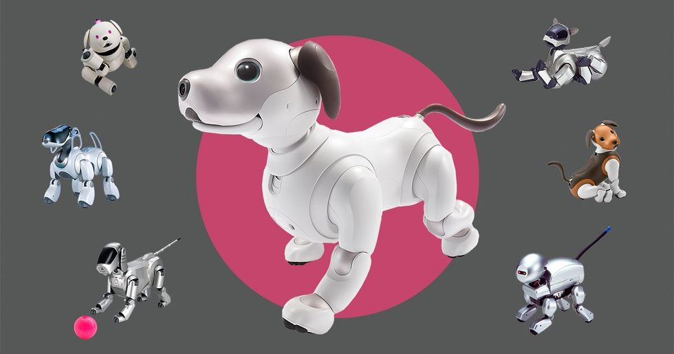 선(禪)과 Aibo Engineering의 예술