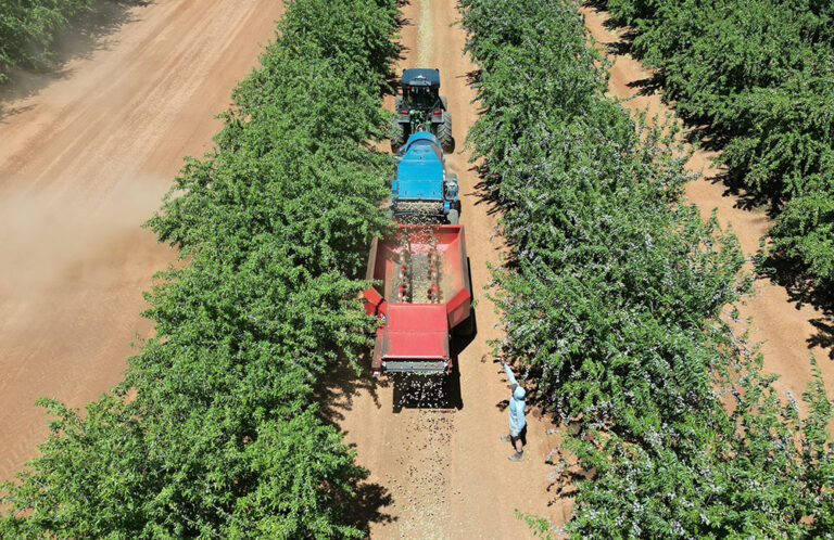 topcon-agriculture는-정밀-농업에-대한-bonsai-robotics와-팀을-이룹니다.