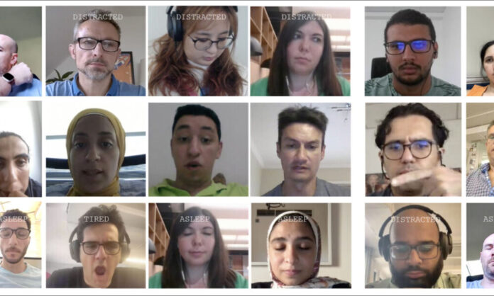 광고주의-청중에서-‘올빼미와-도마뱀’을-찾고-있습니다