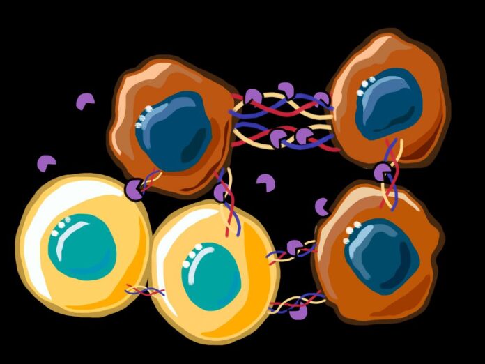 ‘액체-제트’는-암세포-연구의-핵심이-될-수-있습니다 ‘액체-제트’는-암세포-연구의-핵심이-될-수-있습니다